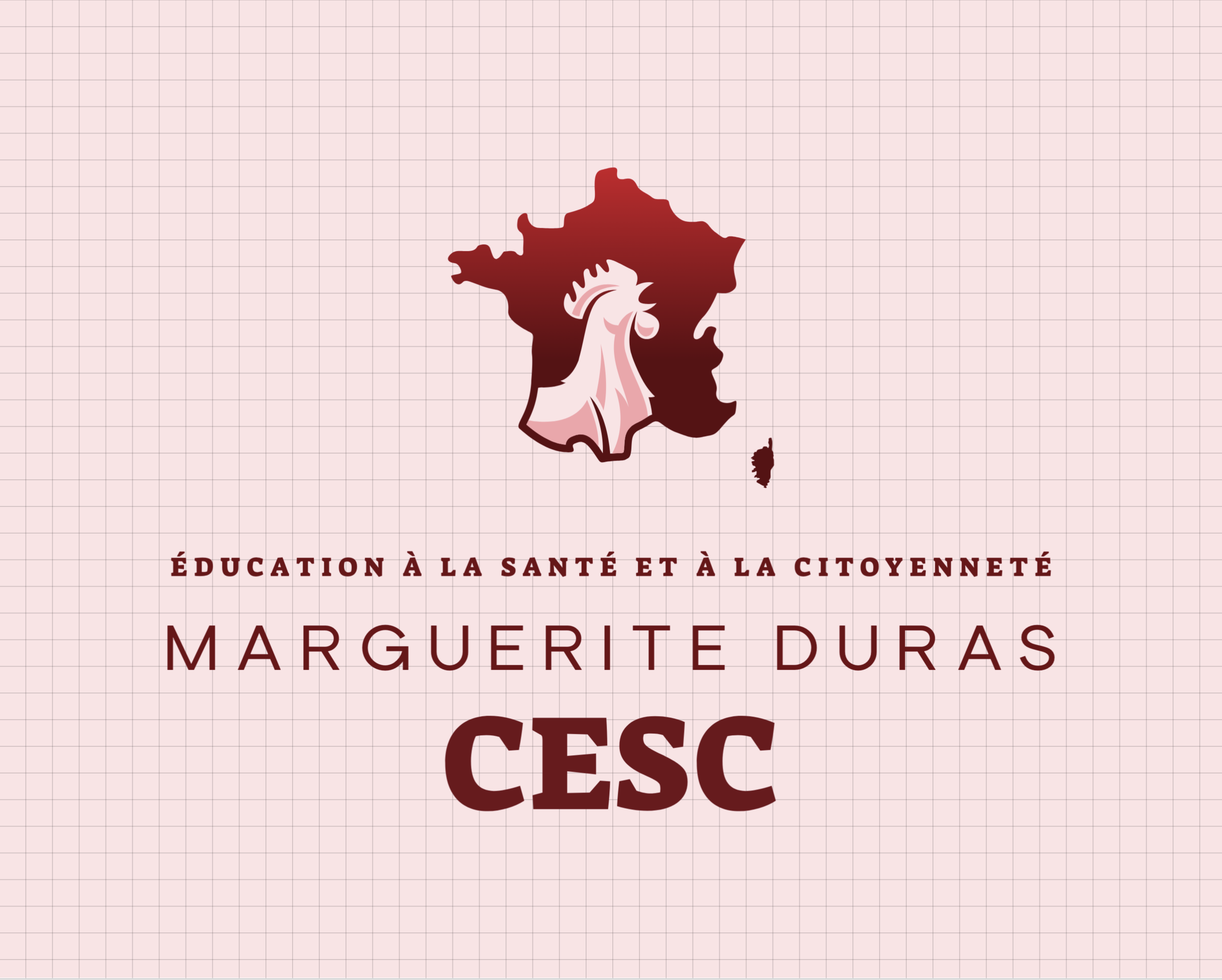 🇫🇷 Compte-Rendu du CESC du 22 Mai 2020