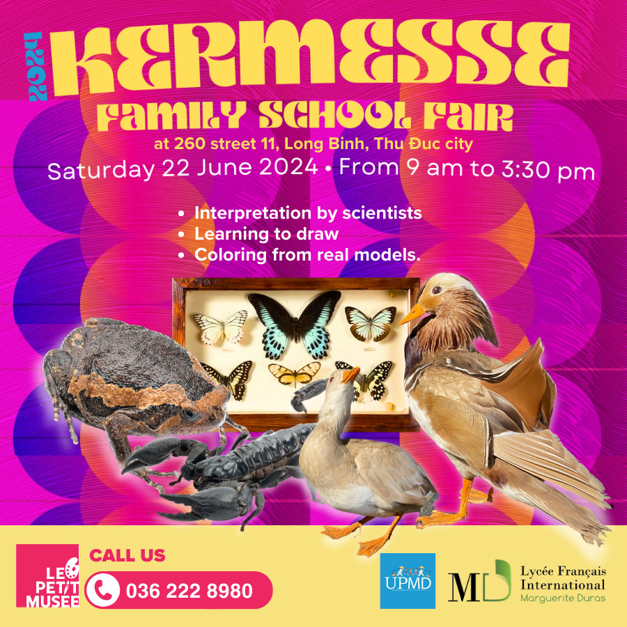 Kermesse 2024 | Petit Musée Activités pour les enfants 🎡 🎡