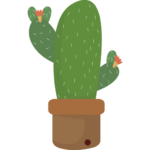 [image cactus (illustration)]